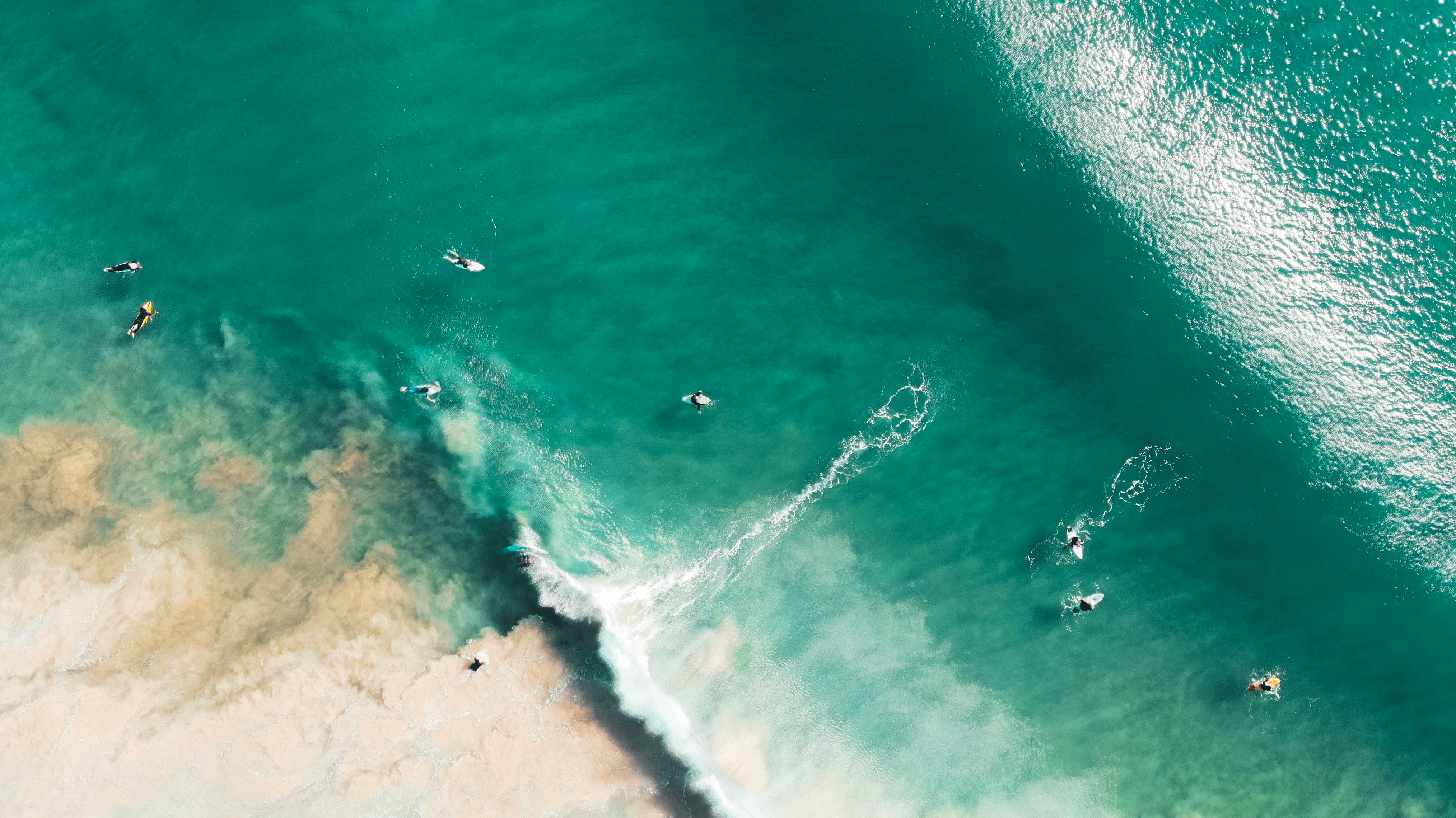 aerial photography of shore